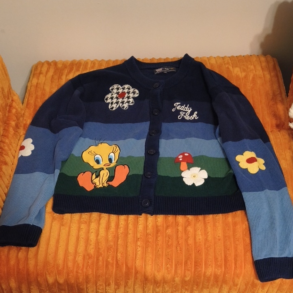 Teddy Fresh Blue Striped Tweety Cartoon Cardigan